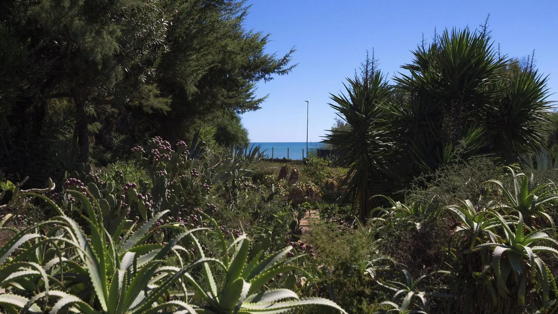 Villa Vigata Punta Secca